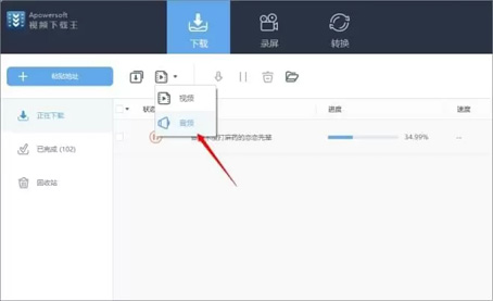 Apowersoft视频下载王