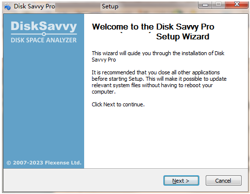 Disk Savvy Pro x32