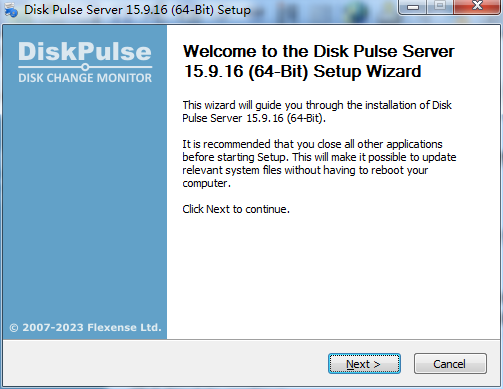 Disk Pulse Server